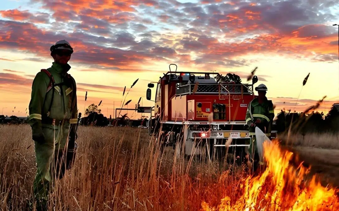 Victoria’s Country Fire Authority Leverages Microsoft Azure Data for Enhanced Fire Safety (Government Case Study)