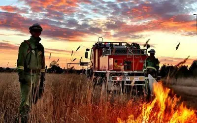 Victoria’s Country Fire Authority Leverages Microsoft Azure Data for Enhanced Fire Safety (Government Case Study)